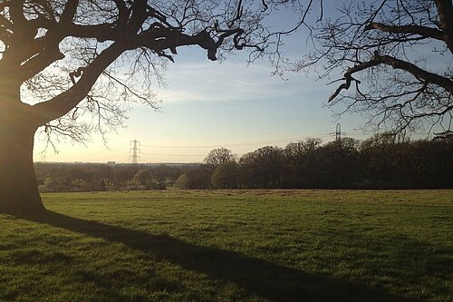 A natural Sutton scene
